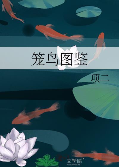 笼鸟图鉴结局