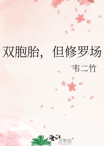 双胞胎题材