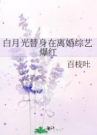 白月光替身的文
