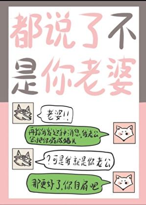 都说了不是你老婆是什么歌