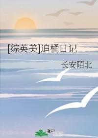 综英美多重日记