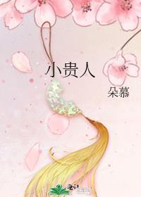 小贵人全文免费阅读