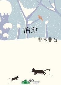 治愈系宠物日常