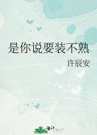 你是装不懂还是真的