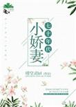 七十年代小娇妻笔趣阁