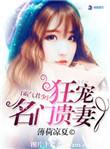 君少霸宠名门世家