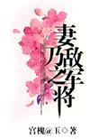 妻乃敌军之将TXT