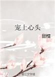 2.宠上心头 作者甜糯