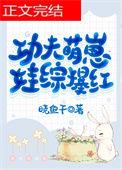功夫功夫宝宝
