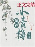 娇宠小青梅畅读