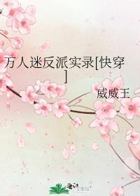 万人迷反派实录快穿