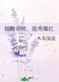 锦鲤 最新章节 无弹窗