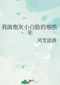 我演炮灰小白脸的那些年by风雪添酒