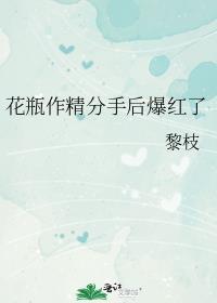 娱乐圈花瓶和精分前夫