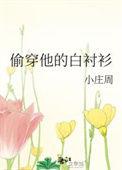 她穿我的白衬衫悬疑格格