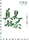 是好茶吗