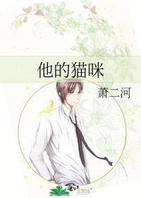 他的猫咪小娇妻免费阅读