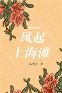 电视连续剧风云上海滩
