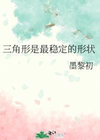 三角形是最稳定的形状免费阅读