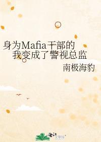 身为港口Mafia干部变成警视