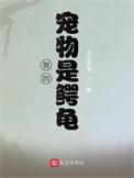 类似我的宠物是鳄龟的