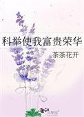 茶茶花开
