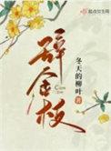 辞金枝电视剧