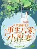 重生八零代养崽崽