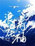 浪花满袖讲的什么