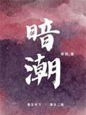 暗潮涌动电视剧