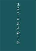 江采今天追到妻了吗37