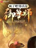 疯了吧你真是御兽师txt