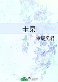 圭臬怎么读是什么意思