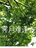 红楼梦霁月难逢