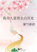 我夫人是男主白月光 作者暑气难消