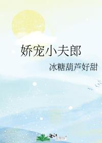 娇宠小夫郎宁乘风岳茗笔趣阁