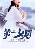 第一女婿无弹窗