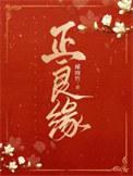 正良缘 好看吗