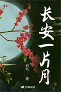 长安一片月意思