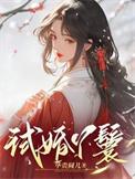 试婚丫鬟侯府