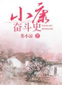 小康奋斗目标是哪年