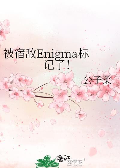 被宿敌Enigma标记了!免费阅读