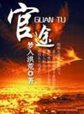 官途权力巅峰全文阅读