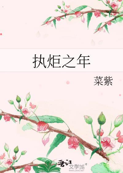 执炬之年讲的什么