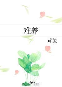 金边瑞香为什么难养