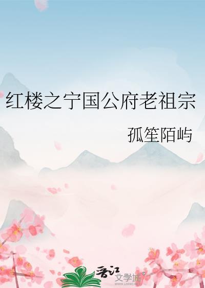 红楼之出继宁国府