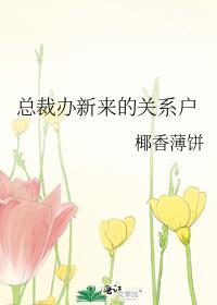总裁办新来的关系户免费