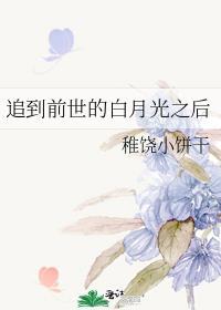 重生追回白月光前妻gl