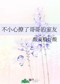 不小心撩了哥哥的室友怎么办