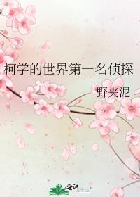 柯学名侦探